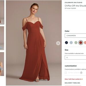 NWT David's Bridal Cinnamon Chiffon Gown